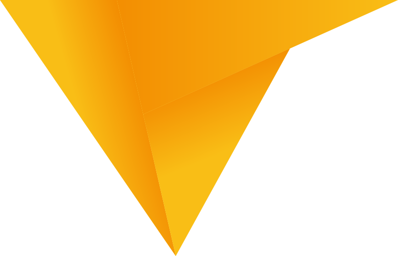 Custom Software Solutions for Businesses