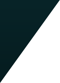 Custom Software Solutions for Businesses