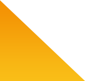 Custom Software Solutions for Businesses